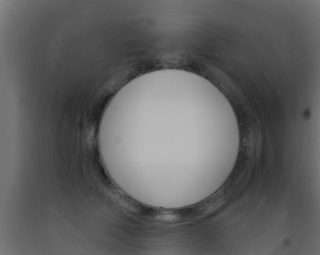 X0000093570610200710151018