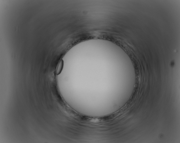 X0000093570611200710151018