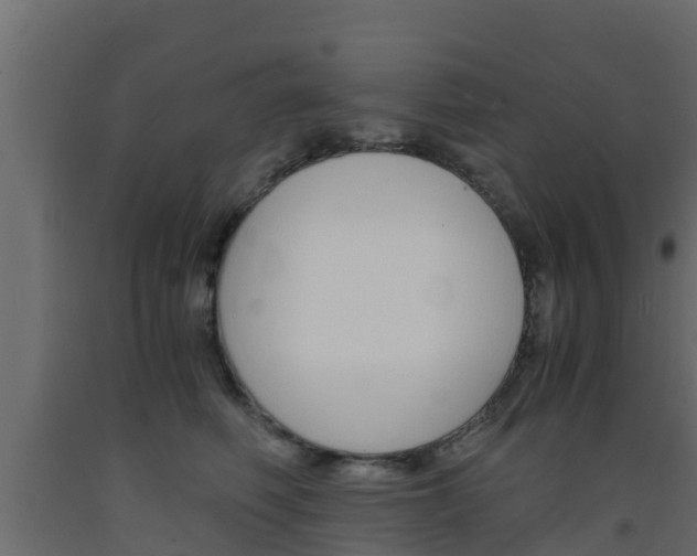 X0000093570614200710151018