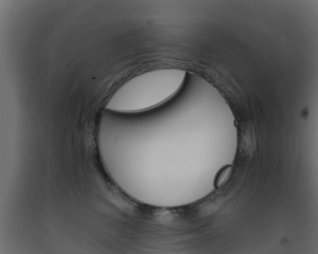 X0000093570616200710151018