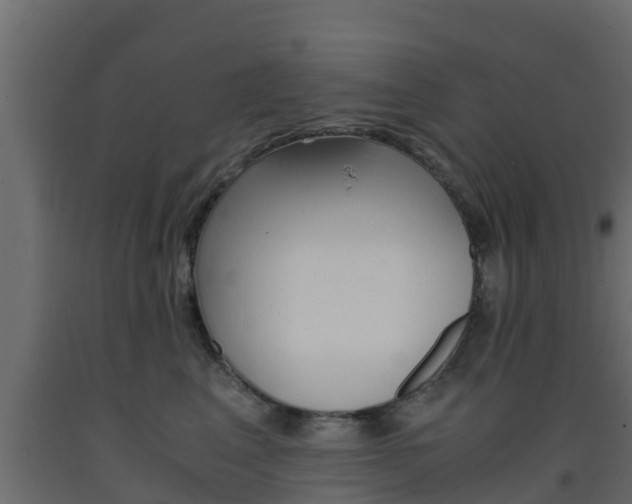 X0000093570617200710151018