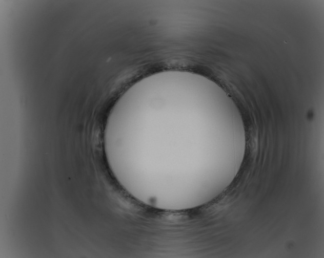 X0000093570619200710151018