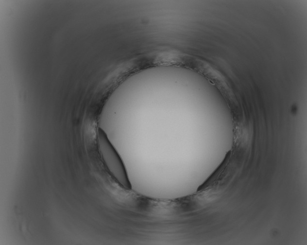 X0000093570621200710151018