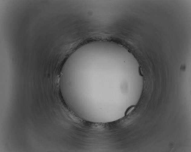 X0000093570624200710151018