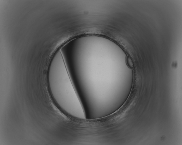 X0000093570625200710151017