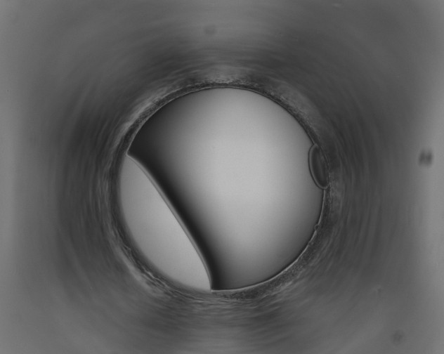 X0000093570626200710151017