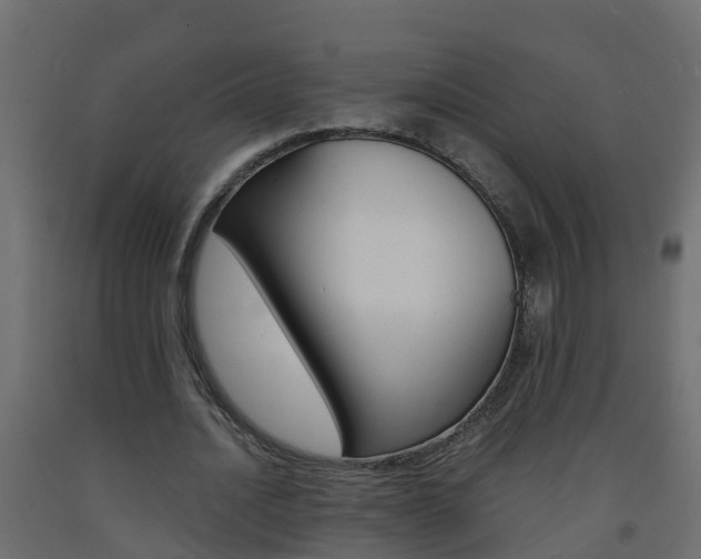 X0000093570628200710151017