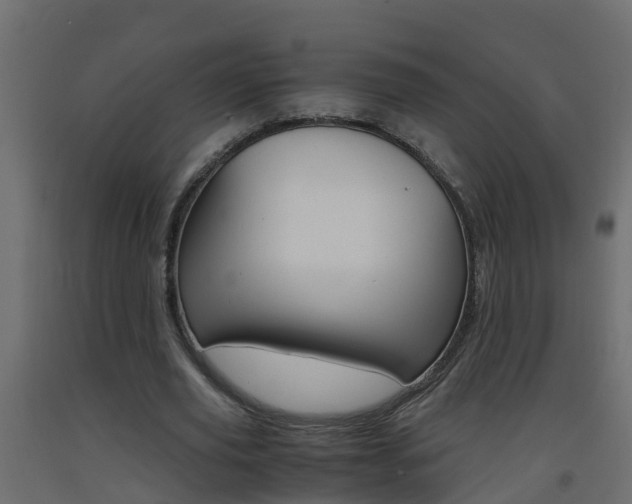 X0000093570629200710151017