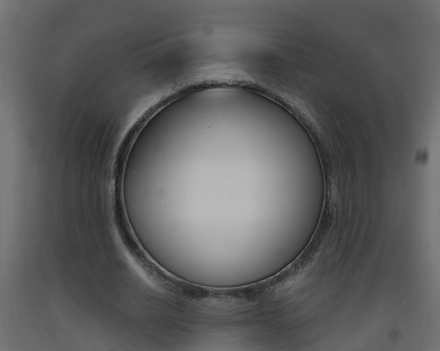 X0000093570630200710151017