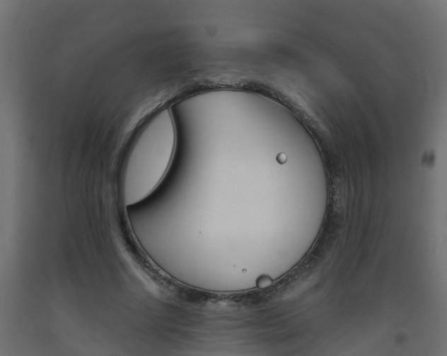X0000093570634200710151017
