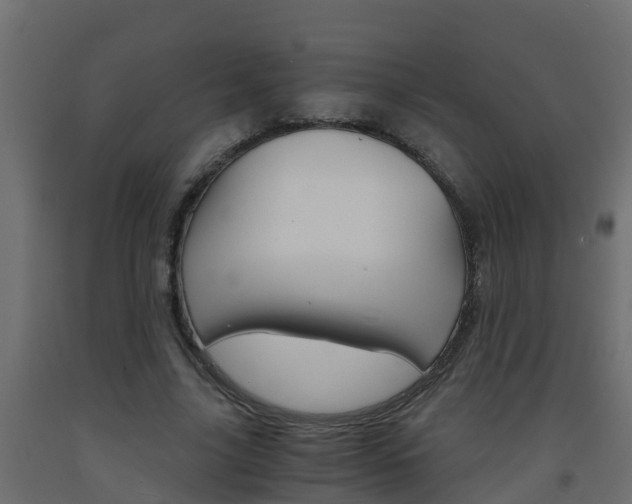 X0000093570635200710151017