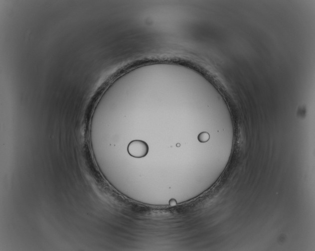 X0000093570636200710151017
