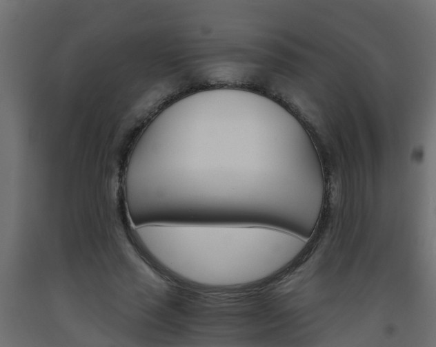 X0000093570637200710151017