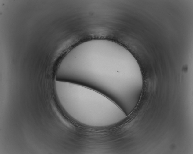 X0000093570638200710151017