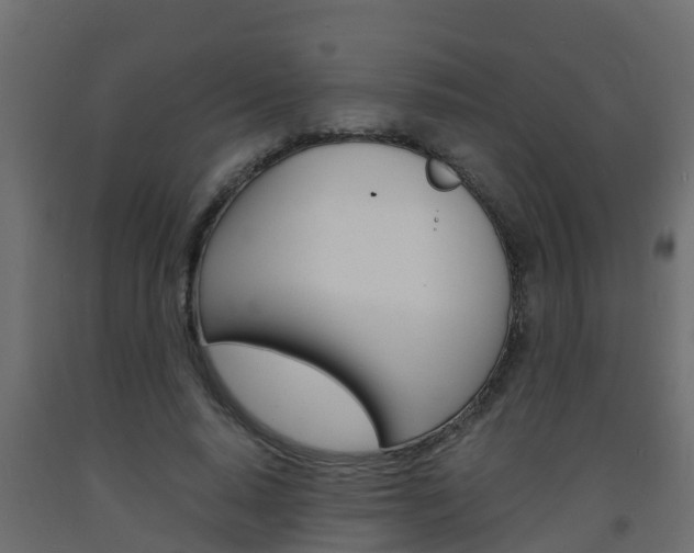X0000093570640200710151017