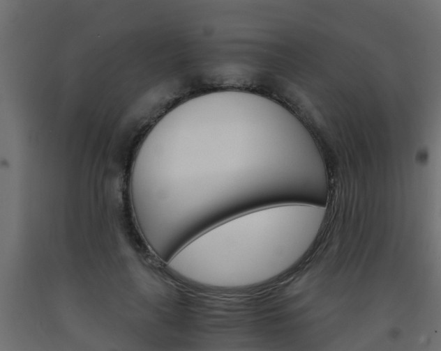 X0000093570643200710151017