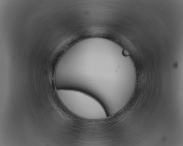 X0000093570644200710151017