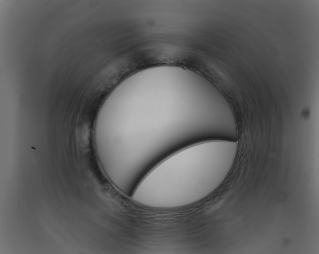 X0000093570646200710151017