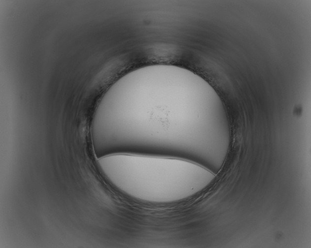 X0000093570647200710151017