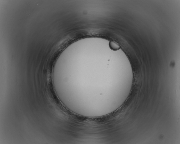 X0000093570648200710151017