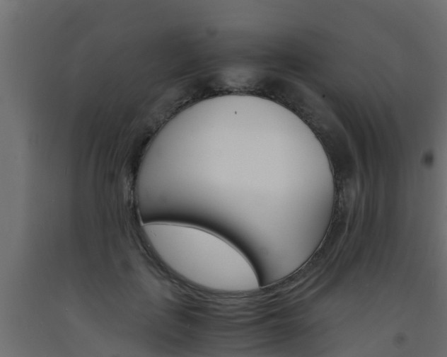 X0000093570651200710151017