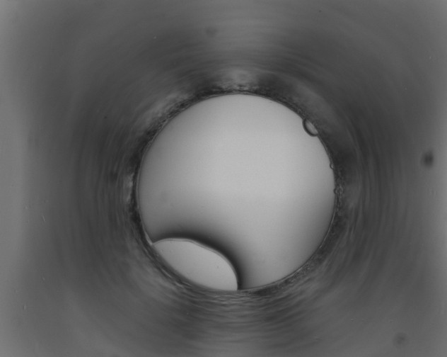 X0000093570652200710151017