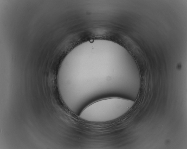 X0000093570653200710151017