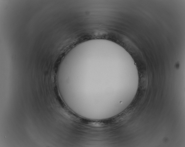 X0000093570654200710151017