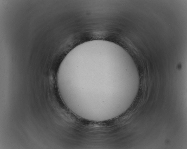 X0000093570655200710151017