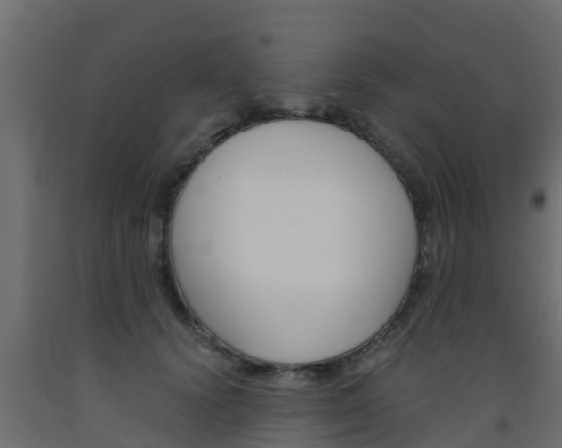 X0000093570656200710151017