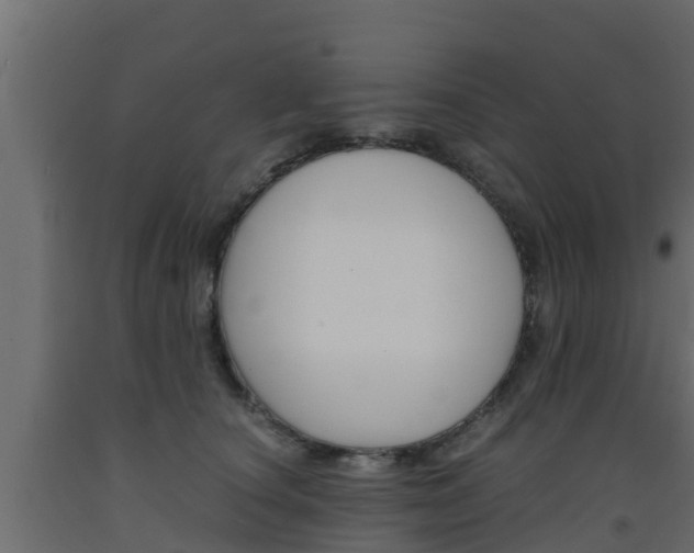 X0000093570660200710151017