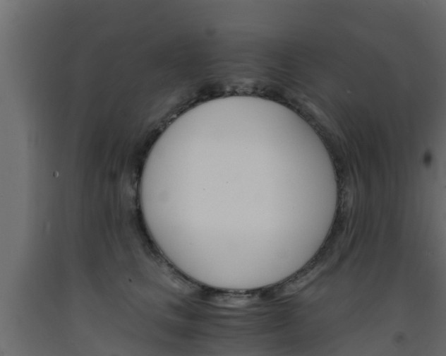 X0000093570661200710151018