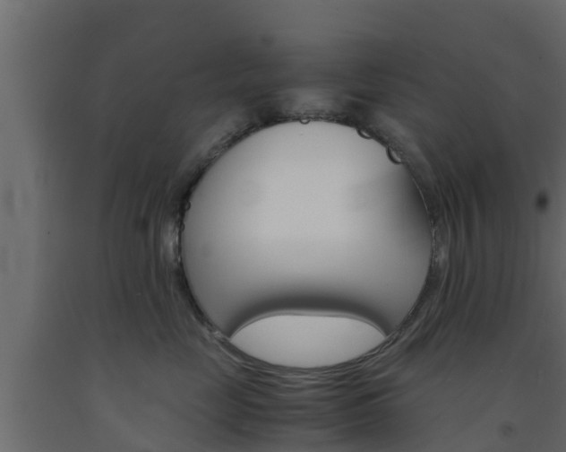 X0000093570669200710151018