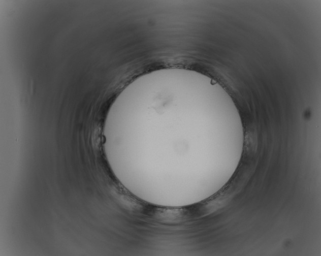 X0000093570671200710151018