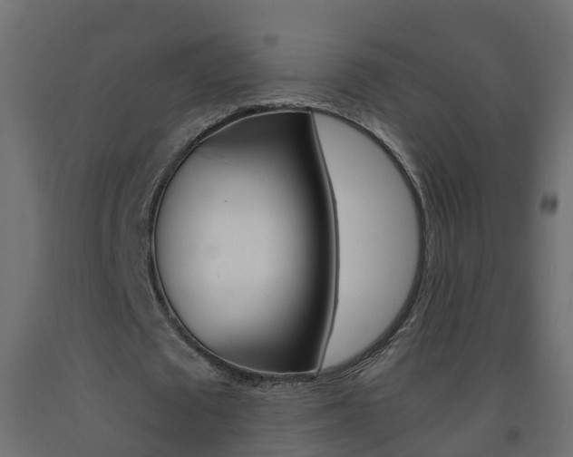 X0000093570673200710151017
