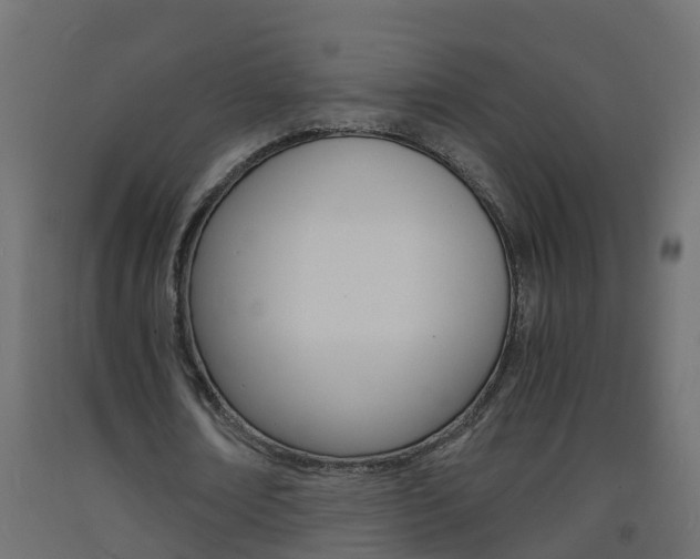 X0000093570674200710151017