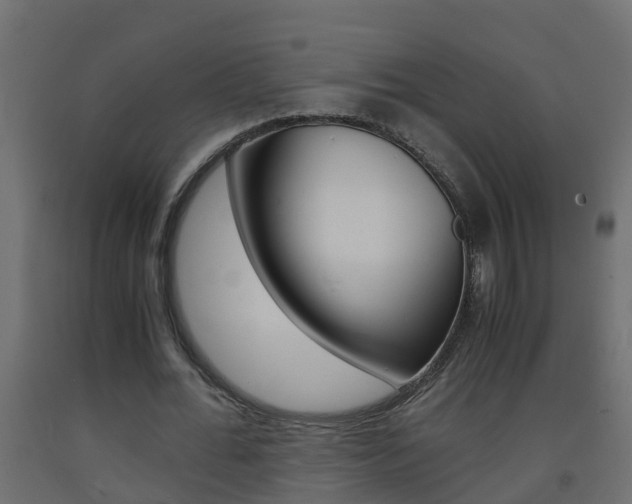 X0000093570676200710151017