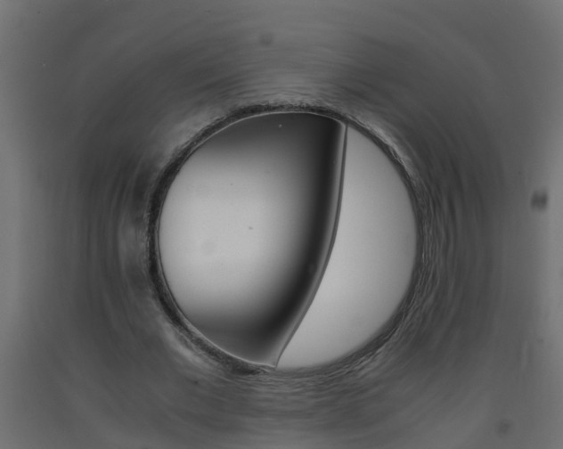 X0000093570677200710151017