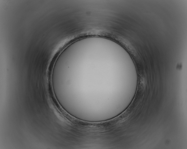 X0000093570678200710151017