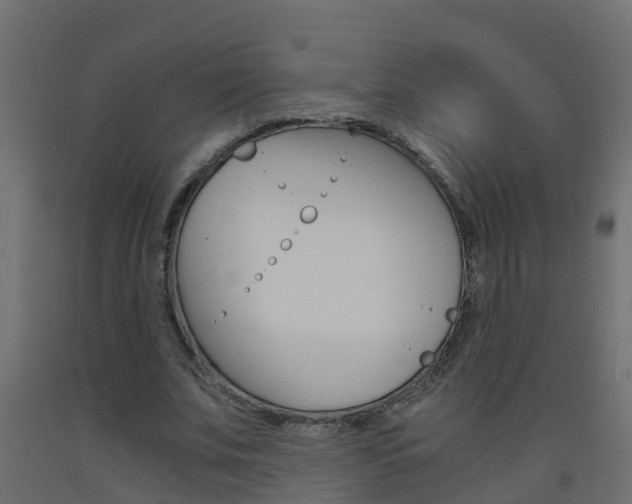 X0000093570679200710151017