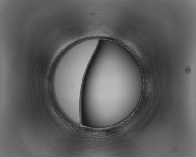 X0000093570680200710151017