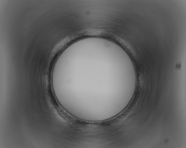 X0000093570682200710151017
