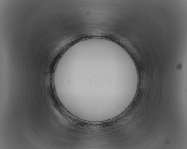 X0000093570683200710151017