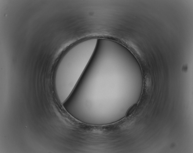 X0000093570684200710151017