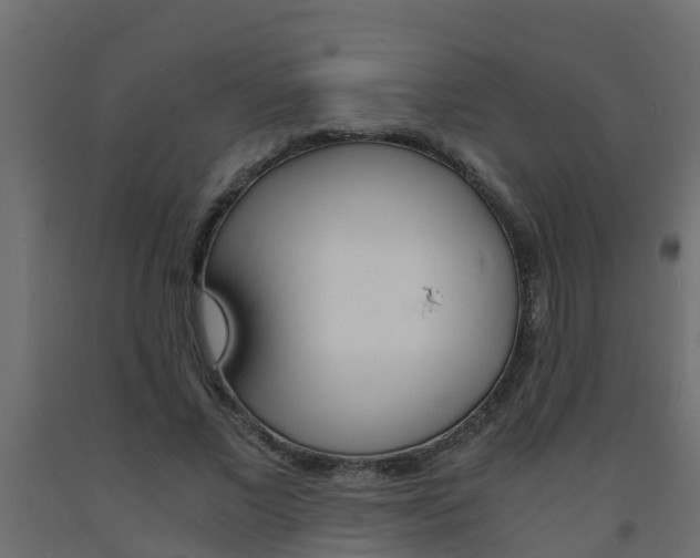 X0000093570685200710151017