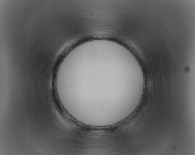 X0000093570686200710151017