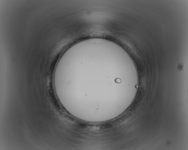 X0000093570687200710151017