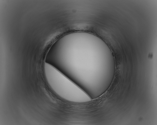 X0000093570688200710151017