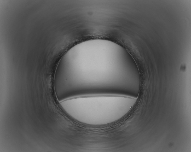 X0000093570689200710151017