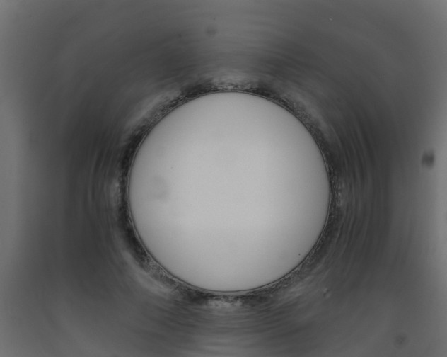 X0000093570690200710151017